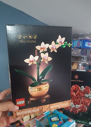 Beden LEGO Botanicals Mini Orkide 10343 Yetişkinler için Dekoratif Çiç