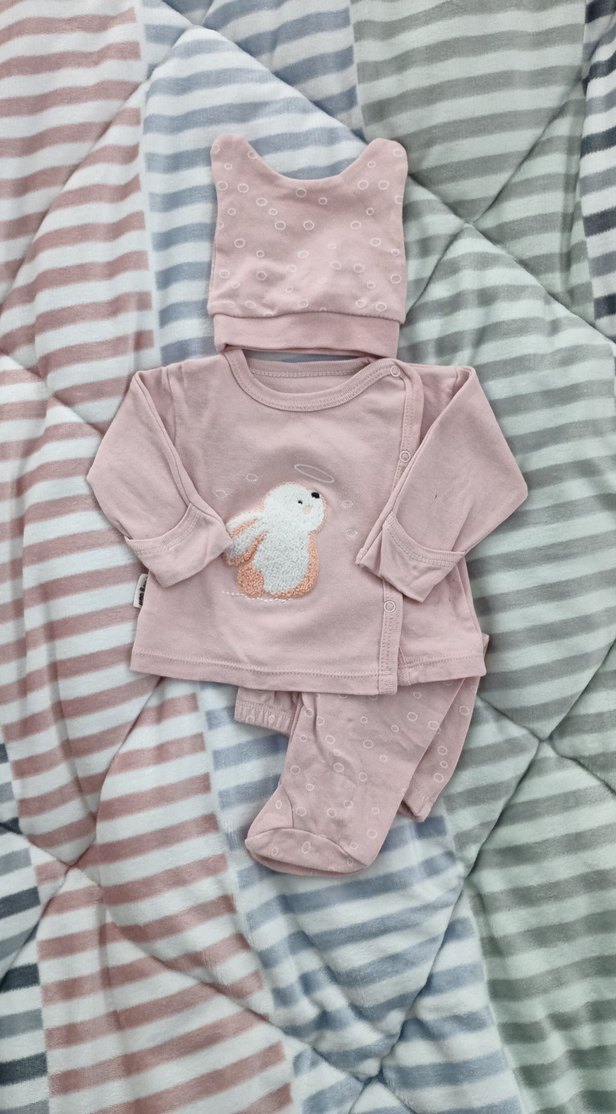 Pembe  Uzun Kollu Bebek Kıyafet Takımı - Görsel 2