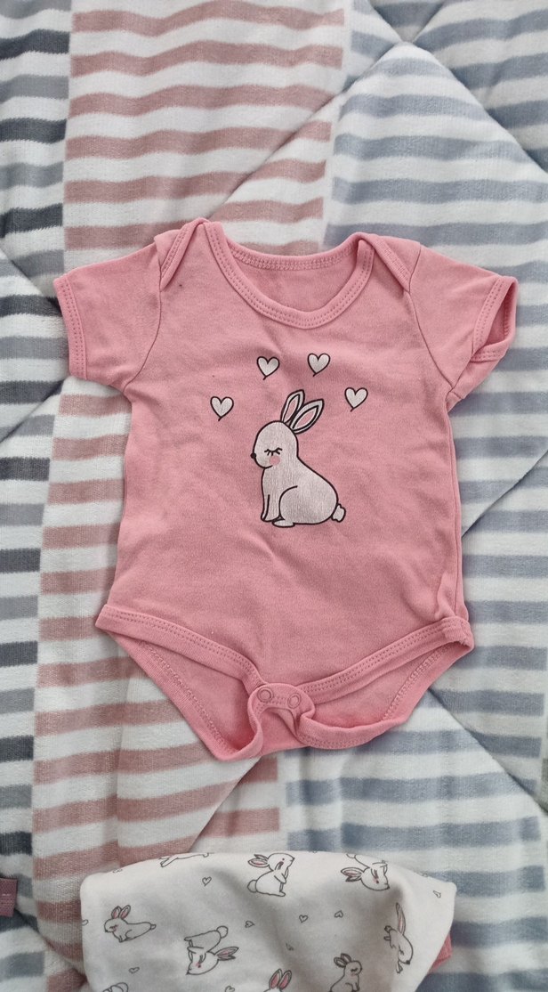 Kız Bebek Kısa Kollu Body Seti, Pembe Tavşan Desenli - Görsel 2