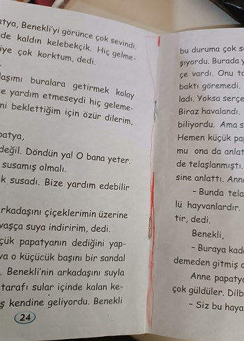 Çıkarsız Dostluk - Afacan Öykü Dizisi - Görsel 2