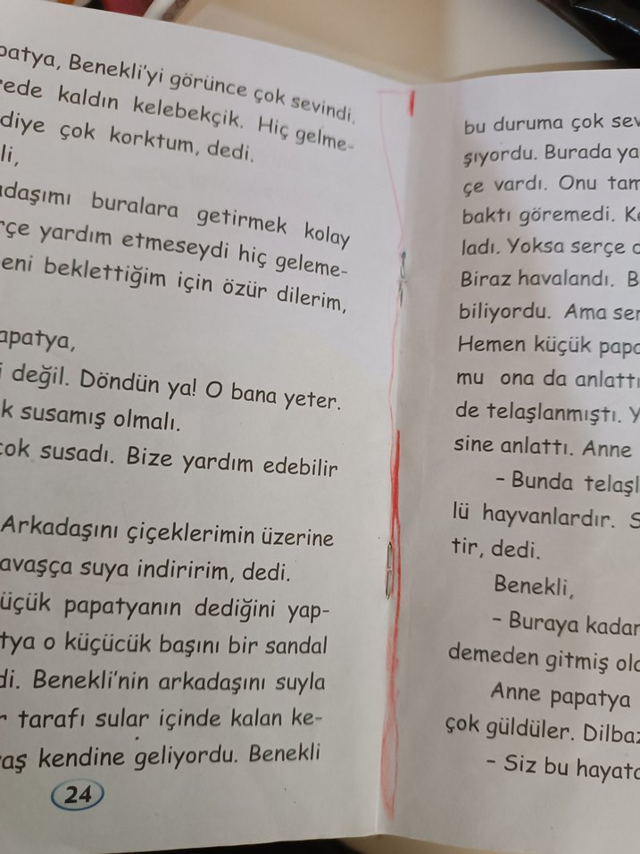 Çıkarsız Dostluk - Afacan Öykü Dizisi - Görsel 2