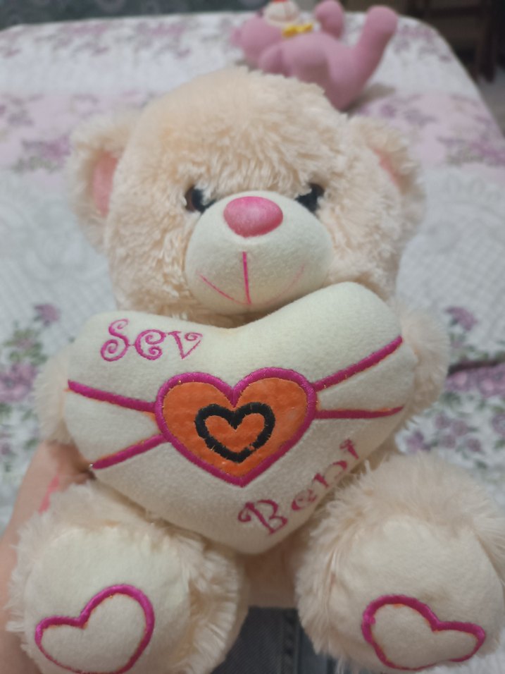 Kalpli Peluş Ayıcık Oyuncak - Görsel 2