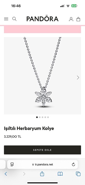 PANDORA Işıltılı Herbaryum kolye