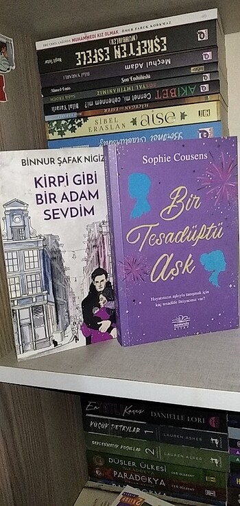  Kirpi gibi bir adam sevdim / bir tesadüftü aşk 