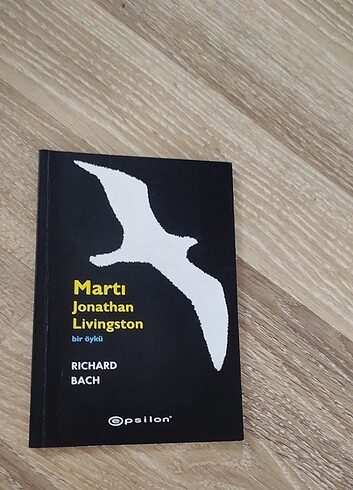 Martı kitap