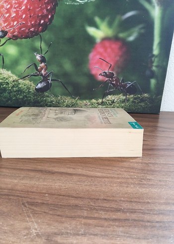 Kudüs'ün Yeniden Fethi - Tarih Kitabı - Görsel 4