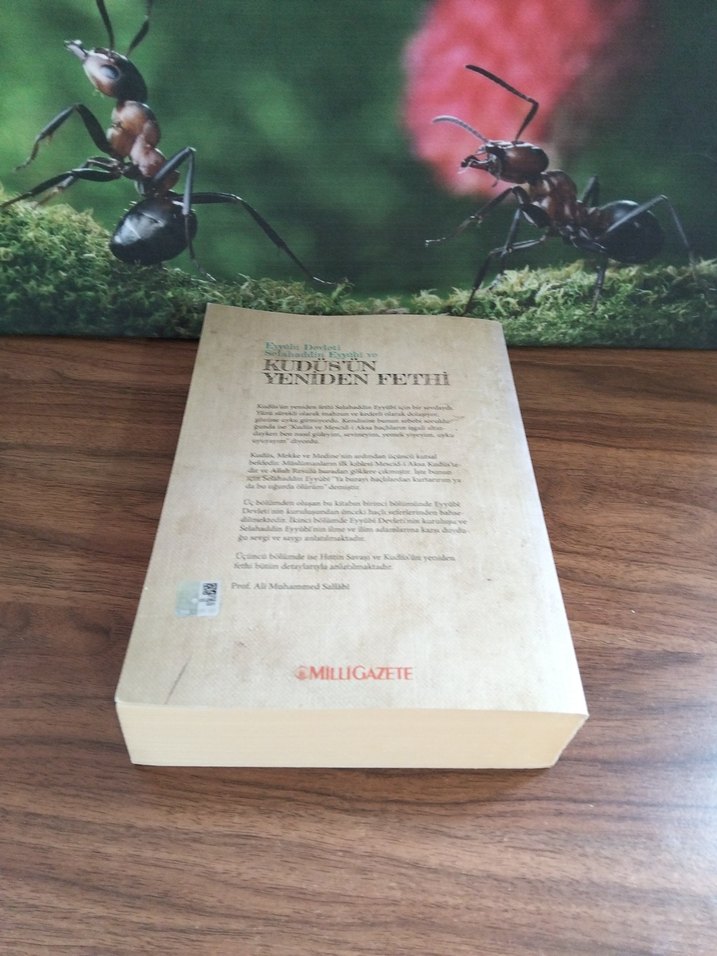 Kudüs'ün Yeniden Fethi - Tarih Kitabı - Görsel 2