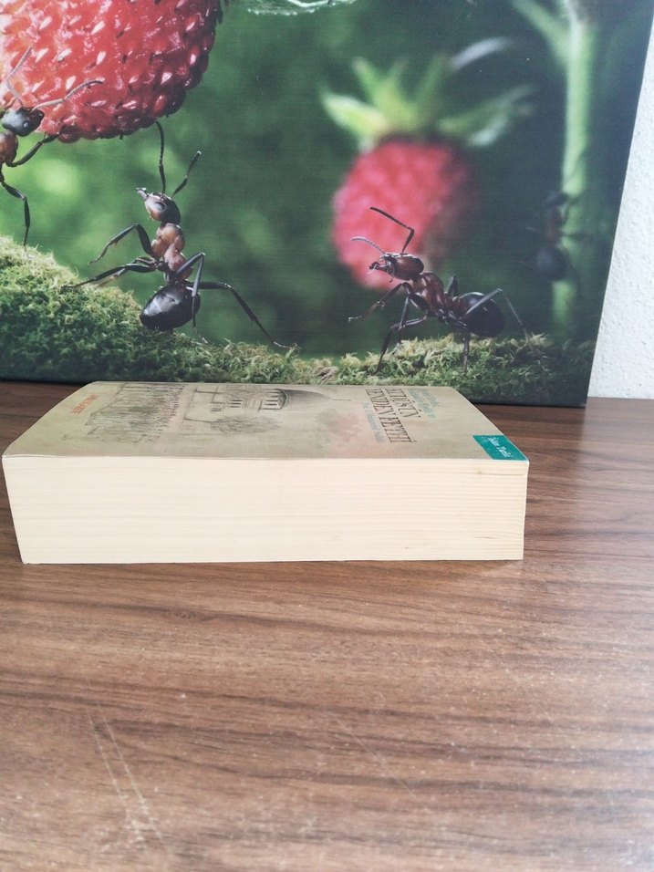 Kudüs'ün Yeniden Fethi - Tarih Kitabı - Görsel 4