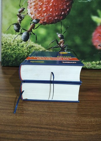 İngilizce-Türkçe ve Türkçe-İngilizce Büyük Sözlük Seti - Görsel 8