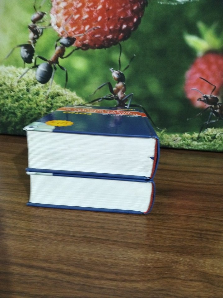 İngilizce-Türkçe ve Türkçe-İngilizce Büyük Sözlük Seti - Görsel 3