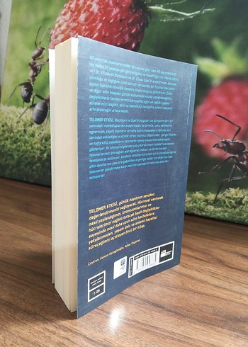 Telomer Etkisi - Uzun Yaşam Bilimi - Görsel 2