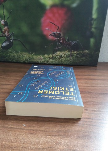 Telomer Etkisi - Uzun Yaşam Bilimi - Görsel 3