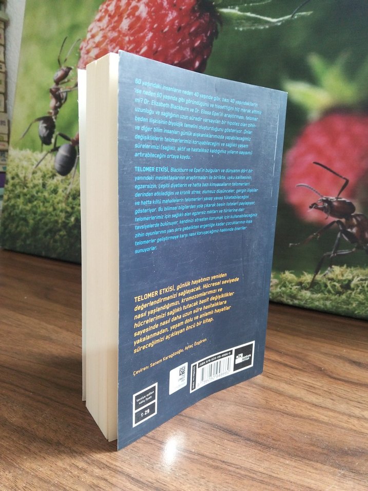 Telomer Etkisi - Uzun Yaşam Bilimi - Görsel 2