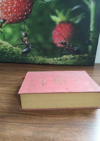 Fuzili.Saadete Ermişlerin Balıcesi Kitabı - Görsel 3