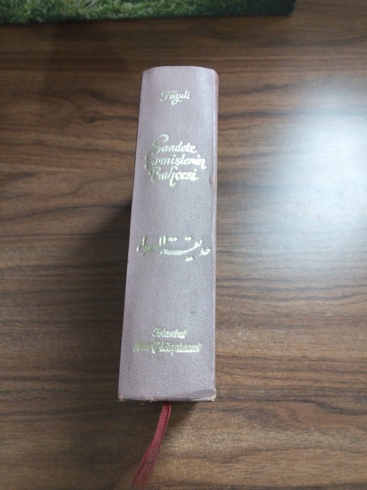 Fuzili.Saadete Ermişlerin Balıcesi Kitabı - Görsel 2