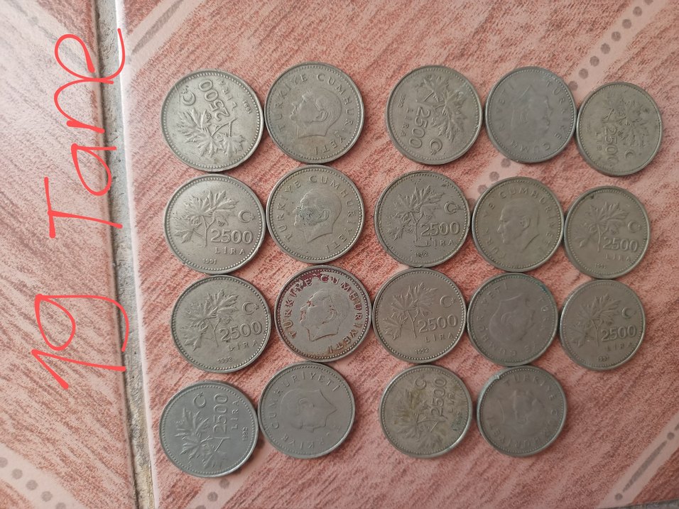 Eski Türk Lirası Madeni Para Koleksiyonu - Görsel 3