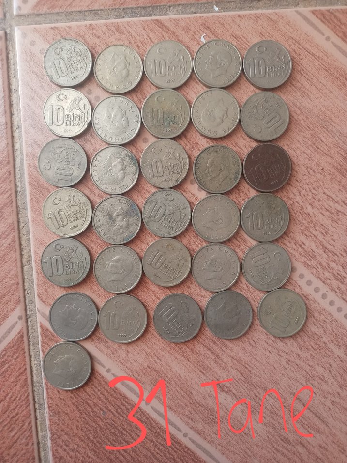 Eski Türk Lirası Madeni Para Koleksiyonu - Görsel 4