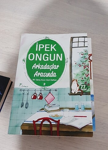 Bir genç kızın gizli defterleri 