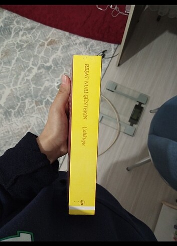  Beden Reşat nuri güntekin calıkuşu