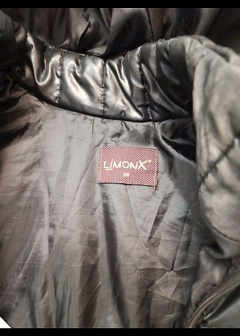 kusursuz kadın mont - Görsel 3