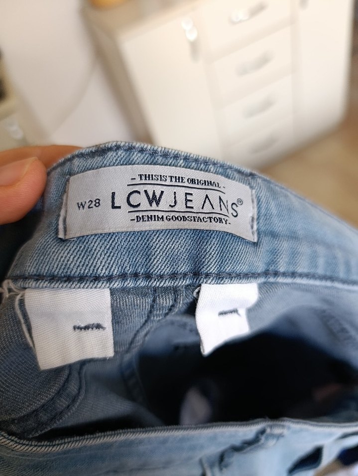 LC Waikiki Erkek Şort - Görsel 4