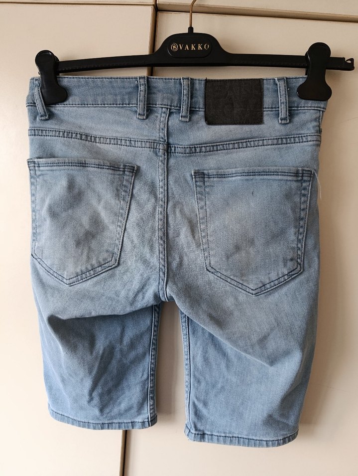 LC Waikiki Erkek Şort - Görsel 2