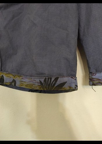 Colin's Erkek Şort - Görsel 4