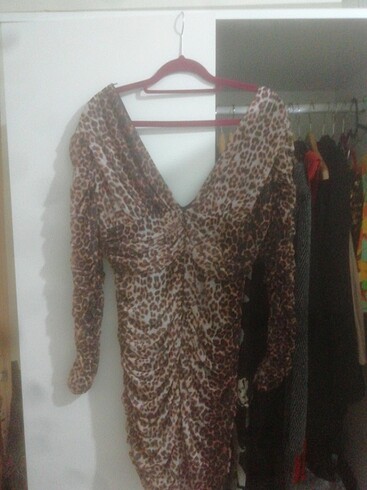 Leopargeceelbisesi