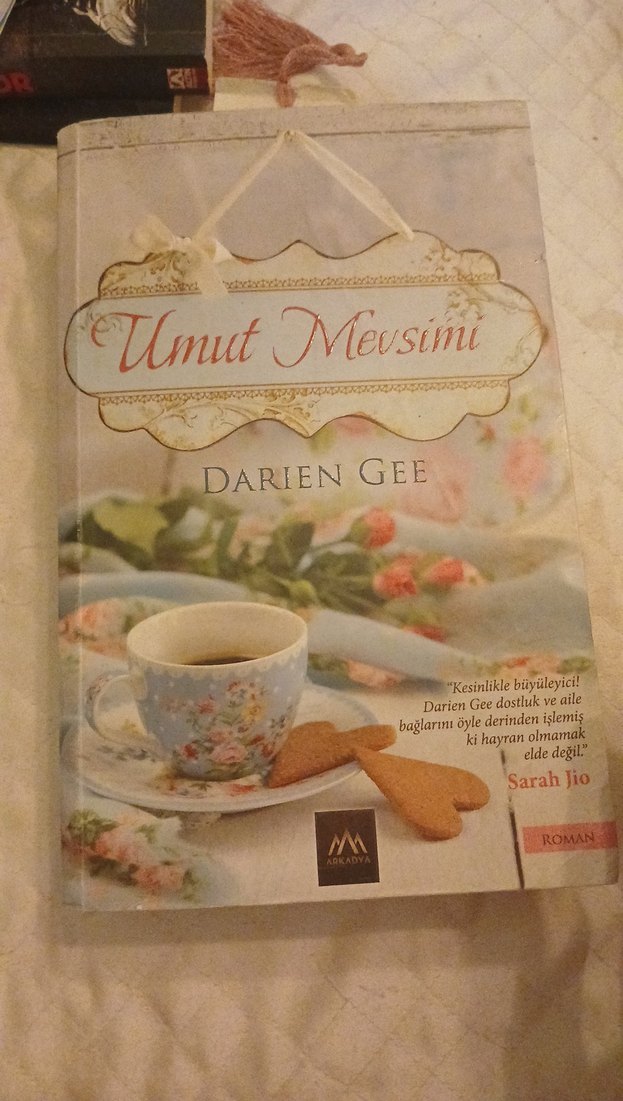 Umut Mevsimi - Darien Gee - Görsel 3