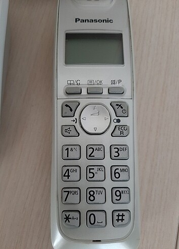 Panasonic