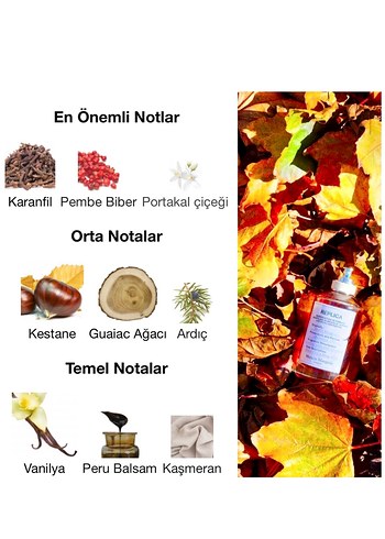 DOSE By the fireplace Replica 50 mg - Görsel 7