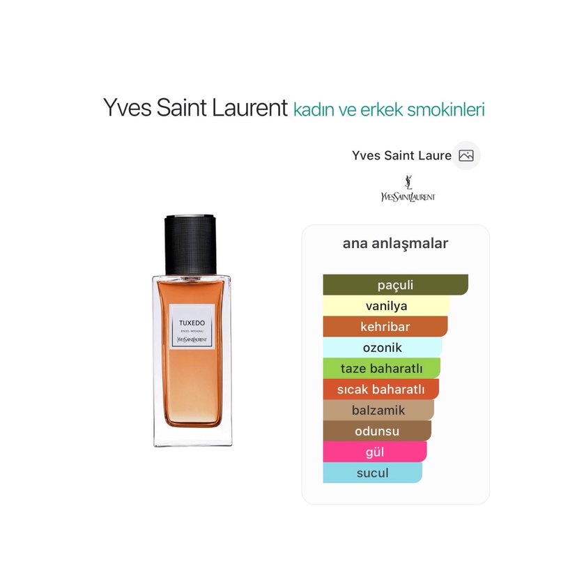 Muscent YSL TUXEDO - Görsel 5