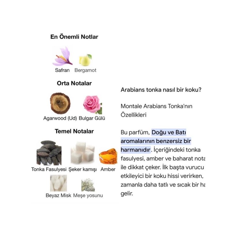 DOSE Montale Arabian Tonca - Görsel 5