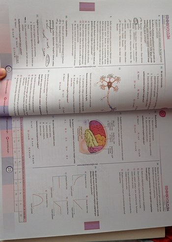 Senin BiyolojİN 3. Kitap - Güncel Müfredat