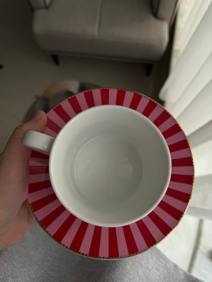 Pembe Kuş Desenli Fincan ve Tabak - Görsel 3