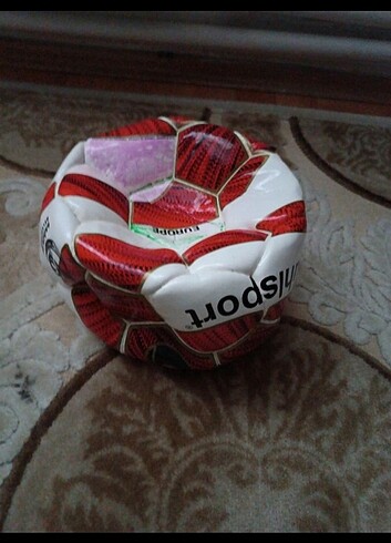Beden Renk Futbol topu