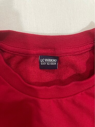 LC Waikiki Sweatshirt