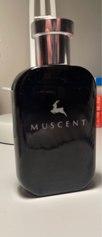 Muscent Gucci Rush2