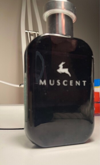 Beden Renk Muscent Gucci Rush2
