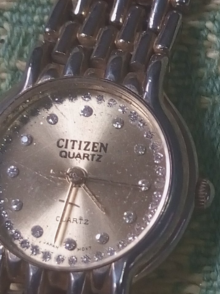 Gri Parlak Citizen Kadın Saati GOLD - Görsel 4