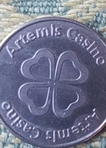 Gri Vintage Erkek Rozeti - Görsel 2