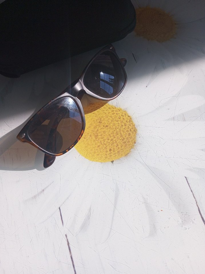 Şeffaf Kahverengi Retro Kadın Güneş Gözlüğü - Görsel 3