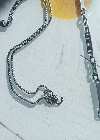 Gri Erkek Minimalist Zincir Kolye - Görsel 2