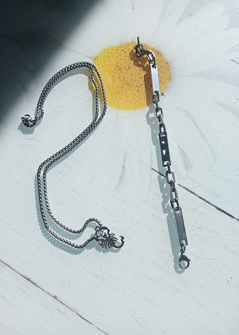 Gri Erkek Minimalist Zincir Kolye - Görsel 3