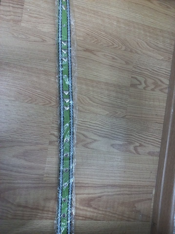 Yeşil Renkli Sokak Stili Kadın Kemer - Görsel 3