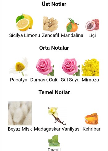 Beden Renk Flower by Kenzo 50ml Orjinal iade garantilidir.