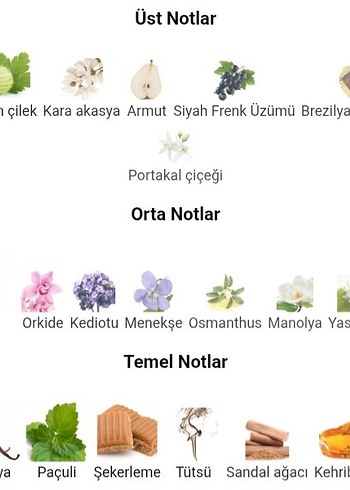 Beden Renk chopard wish 30ml Orjinal iade garantilidir.
