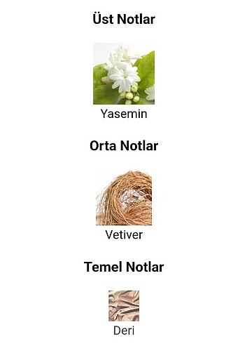 Beden Alive Parfum Kapaksız 50ml Orjinal iade garantilidir