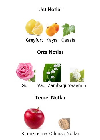  Beden Renk DKNY Be Delicious Fresh Blossom 30ml Orjinal iade garantilidir.