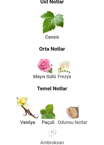 Beden Renk Giorgio Armani Si Kadın 30ml Orjinal iade garantilidir. Kapaksız